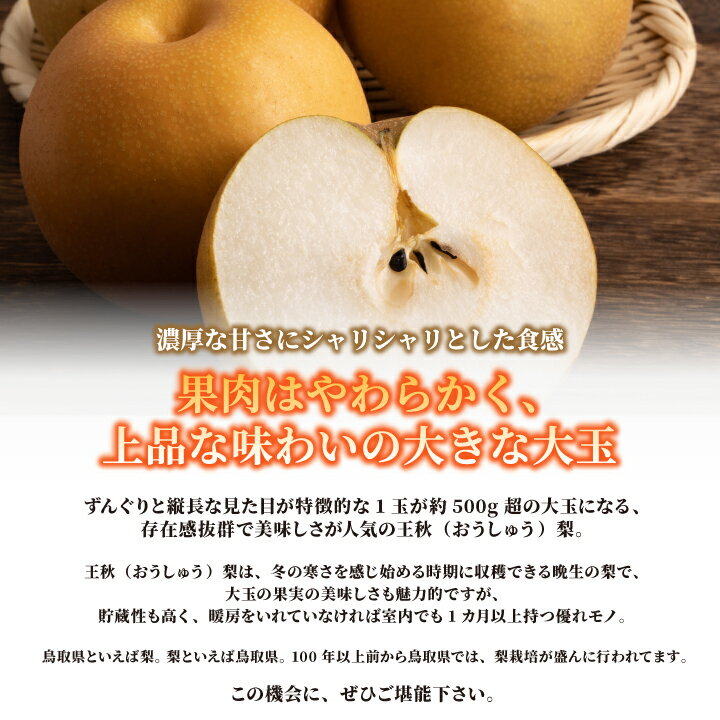 【ふるさと納税】王秋（おうしゅう）梨（5kg）【発送10月中旬以降】DS-08 梨 なし オリジナル フルーツ 鳥取県 鳥取県産 大山町 大山 お土産 返礼品 国産 お取り寄せ ご当地