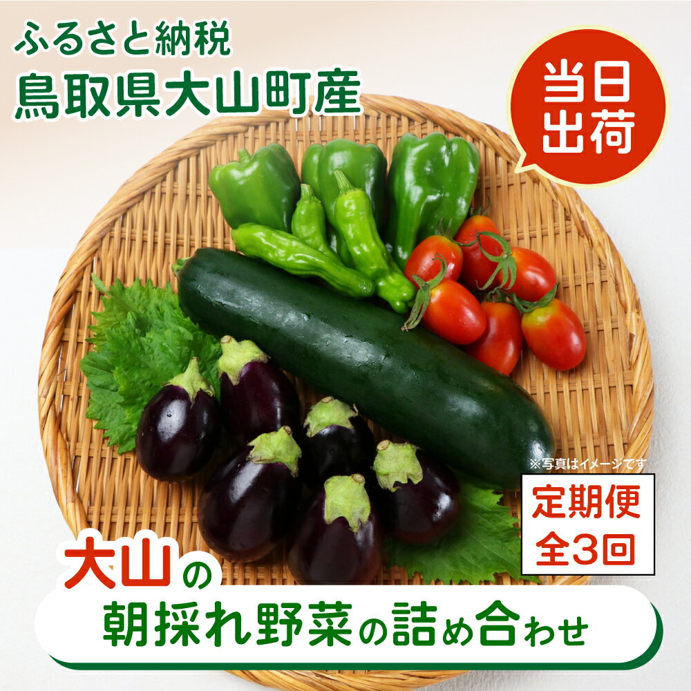 新鮮朝採れ野菜セット お手頃セット頒布会(計3回) 季節 野菜詰め合わせ 野菜 生野菜 加工品 朝どれ野菜 野菜セット 詰め合わせ 野菜加工品 バラエティセット 料理 新鮮 鳥取県 鳥取県産 大山町 大山 サラダ 常温保存 くだもの やさい 6種類以上