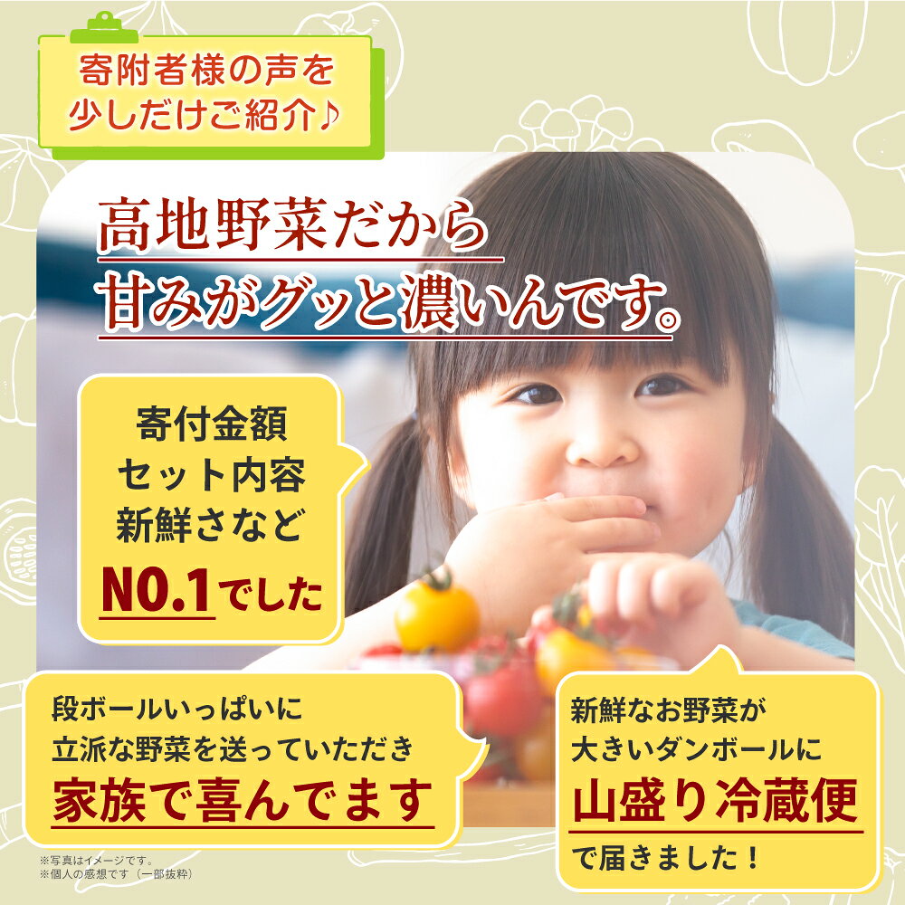 【ふるさと納税】MS-03　新鮮朝採れ野菜 お手頃セット頒布会（計3回） 新鮮 鳥取県 鳥取県産 大山町 大山 サラダ 常温保存 くだもの やさい 6種類以上 f313866-daisen-10000793 鳥取県大山町 サンプル画像3