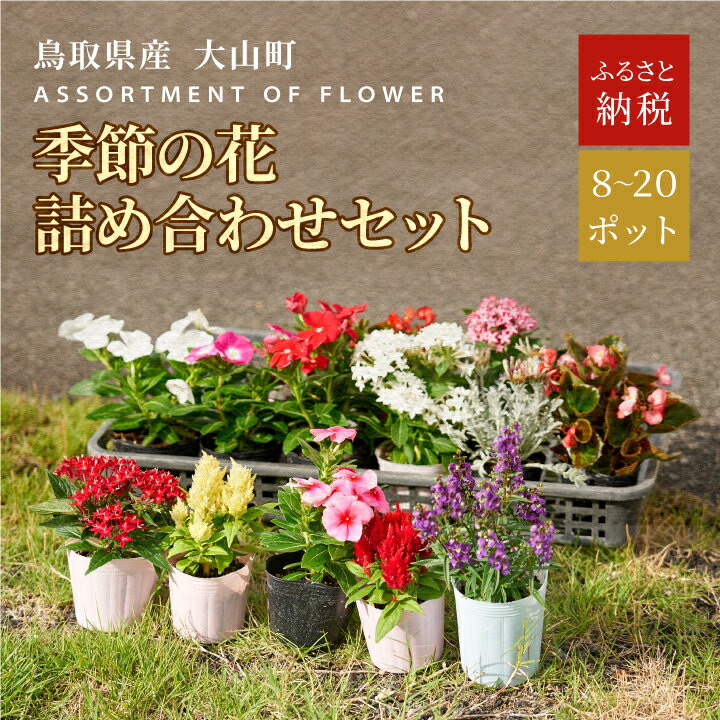 【ふるさと納税】MS-80 季節の花の詰め合わせ セット 詰め合わせ フラワー 花苗 鳥取県 鳥取県産 大山町 大山 パンジー ビオラ