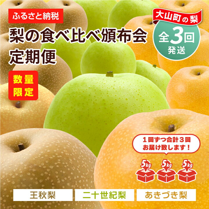 【ふるさと納税】梨の食べ比べ頒布会 5kg×3箱 二十世紀梨 あきづき梨 王秋梨 セット 定期便 数量限定 梨 5kg 鳥取県 鳥取県産 大山町 大山 梨 果物 フルーツ ナシ 甘い 果汁 和梨 くだもの 国産 食べ比べ 【2024年8月・9月・11月の3回お届け】 DS-11