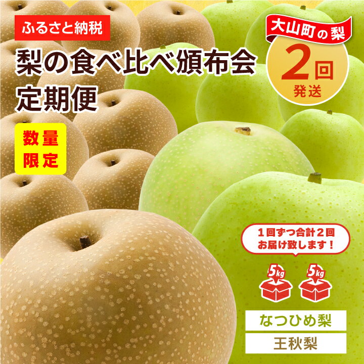 【ふるさと納税】梨食べ比べ定期便 5kg×2箱 なつひめ 王