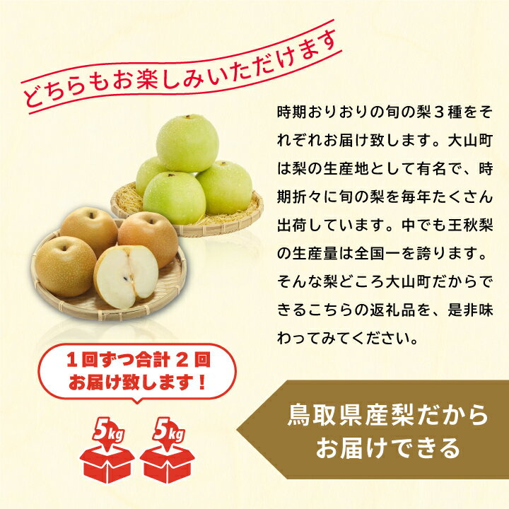 【ふるさと納税】梨食べ比べ定期便 5kg×2箱 なつひめ 王秋梨 セット 定期便 数量限定 梨 5kg 鳥取県 鳥取県産 大山町 大山 梨 果物 フルーツ ナシ 甘い 果汁 和梨 くだもの 国産 食べ比べ 【2023年8月下旬・11月下旬～の2回お届け】 DS-23