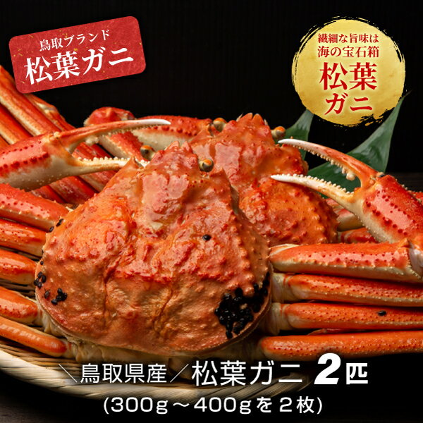 【ふるさと納税】【冷凍】ボイル松葉ガニ（300g～400gを2枚） 約3－4人前　鳥取県産 松葉ガニ ズワイガニ かに 松葉蟹 ずわいがに　カニ 松葉がに 蟹 魚介 海鮮 送料無料 鳥取県 大山町 【11月下旬以降発送】OM-17･･･