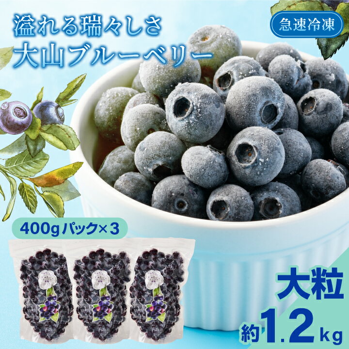 【ふるさと納税】MS-30 冷凍ブルーベリー1.2kg 400gパック 3 美味しい 真空パック 新鮮 シャーベット 鳥取県 鳥取県産 大山町 大山 お土産 返礼品 国産 お取り寄せ ご当地