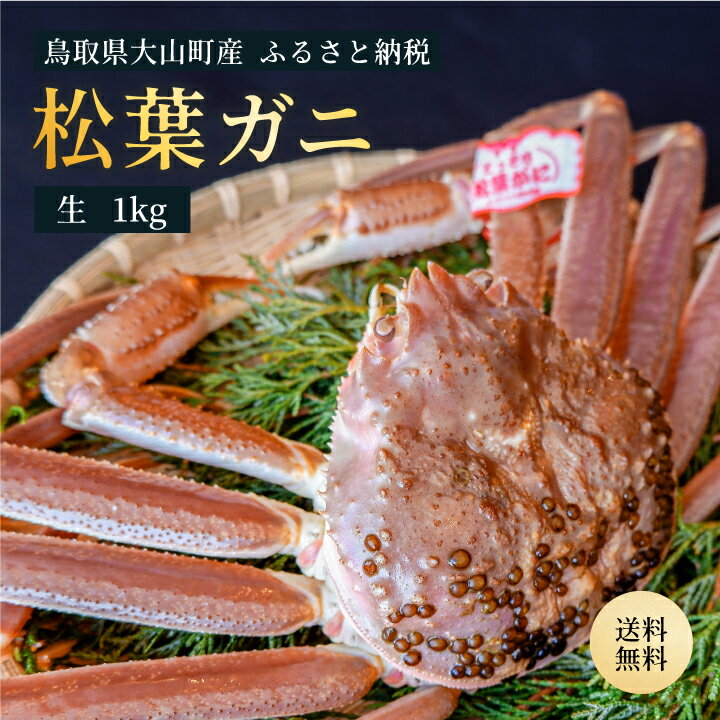 【ふるさと納税】ブランドタグ付 高級生松葉ガニ(特大約1kg)約3−4人前 鳥取県産 高級 松葉ガニ ズワイガニ かに 松葉蟹 ずわいがに カニ 松葉がに 蟹 ...