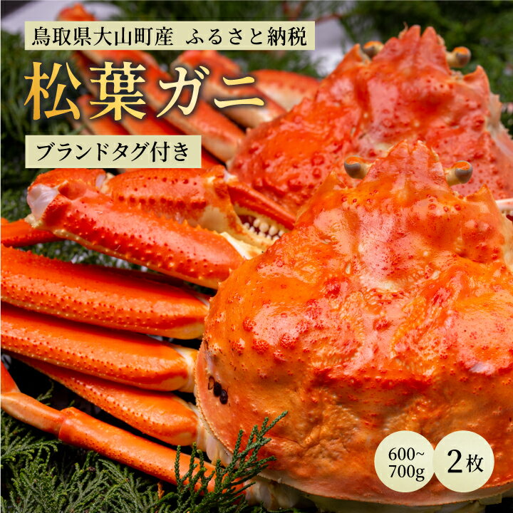 【ふるさと納税】ブランドタグ付ボイル松葉ガニ（600～700gを2枚） 約3－4人前 鳥取県産 高級 ...