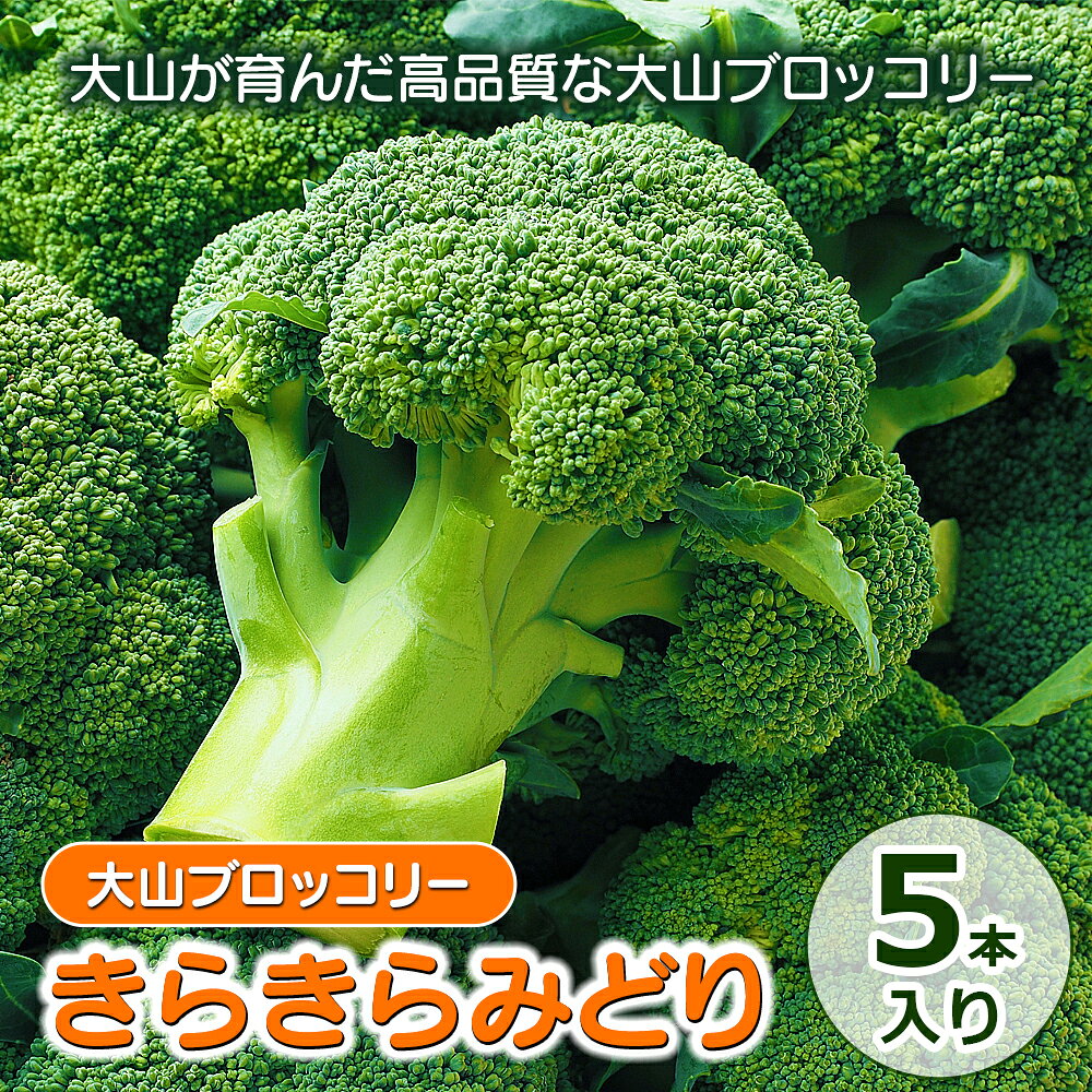 【ふるさと納税】MS-27　大山ブロッコリー「きらきらみどり」5本入り
