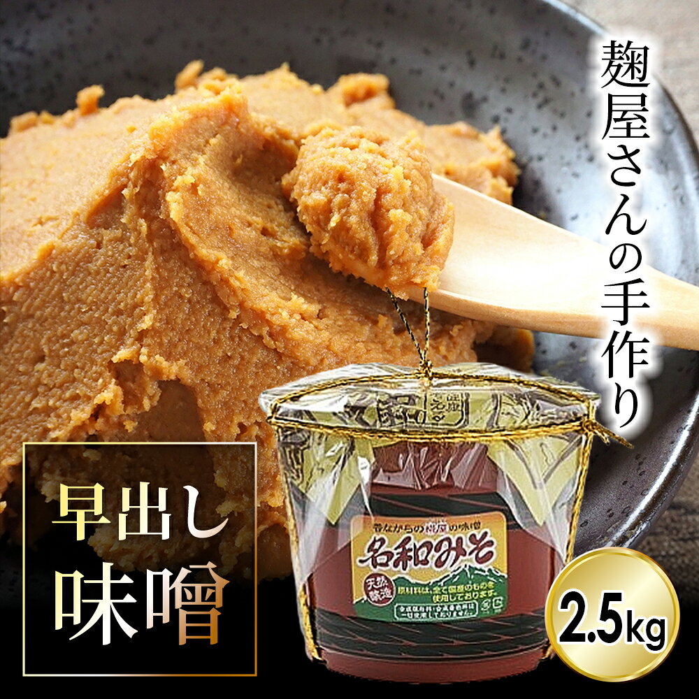 MS-56 麹屋さんが手作りした「名和味噌」（2.5kg） 鳥取県 鳥取県産 大豆 米糀 大山町 大山 お土産 返礼品 国産 お取り寄せ ご当地