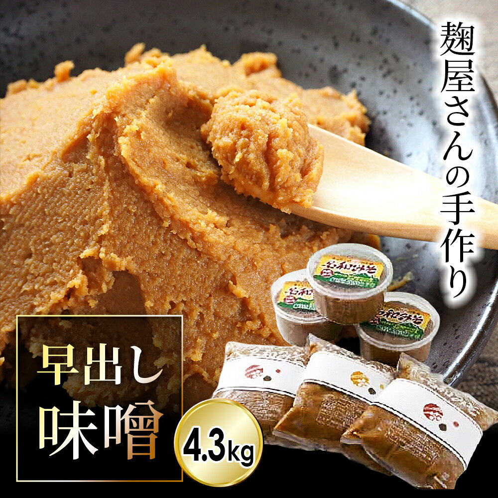 MS-58 麹屋さんが手作りした「名和味噌」詰め合わせ（4.3kg） 鳥取県 鳥取県産 大豆 米糀 大山町 大山 お土産 返礼品 国産 お取り寄せ ご当地