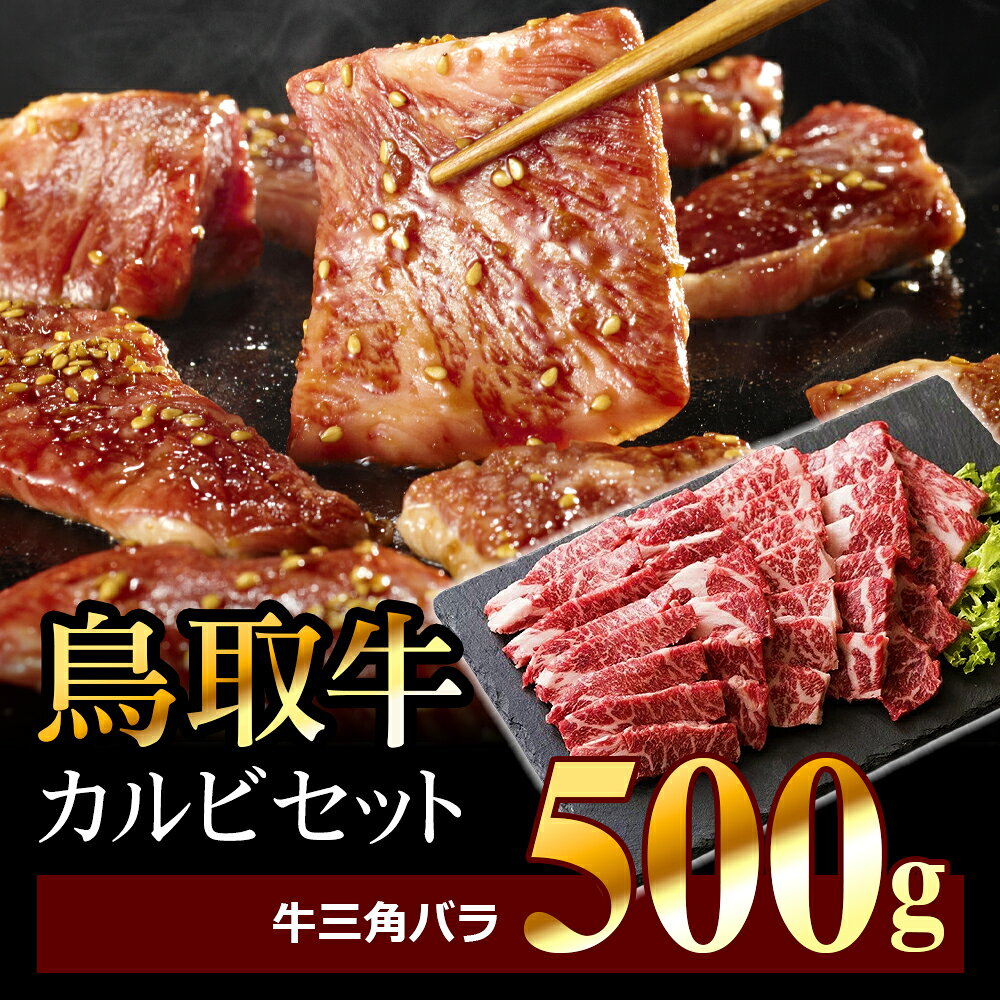 鳥取牛カルビセット 500g 牛肉 焼き肉 精肉 牛肉 500g バーベキュー 焼き肉 鳥取県 鳥取県産 大山町 大山 お土産 返礼品 高級 国産 国産カルビ 肉料理 お取り寄せ ご当地