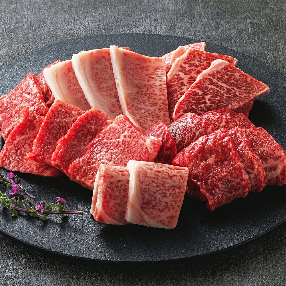 【ふるさと納税】DN-10鳥取和牛希少部位の焼肉＆大容量切り落とし 鳥取県 鳥取県産 鳥取牛 大山町 大山 お土産 返礼品 国産 高級 高級品 お取り寄せ ご当地 f313866-daisen-10000568 鳥取県大山町 サンプル画像2
