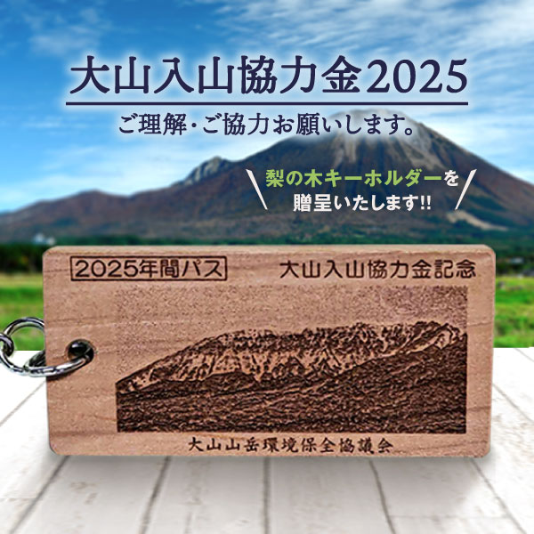 大山入山協力金(定額支払・2025シーズン)Da-01 山 山岳 環境 維持 寄付 寄付金 鳥取県 鳥取県産 大山町 大山 お土産 返礼品 国産 お取り寄せ ご当地