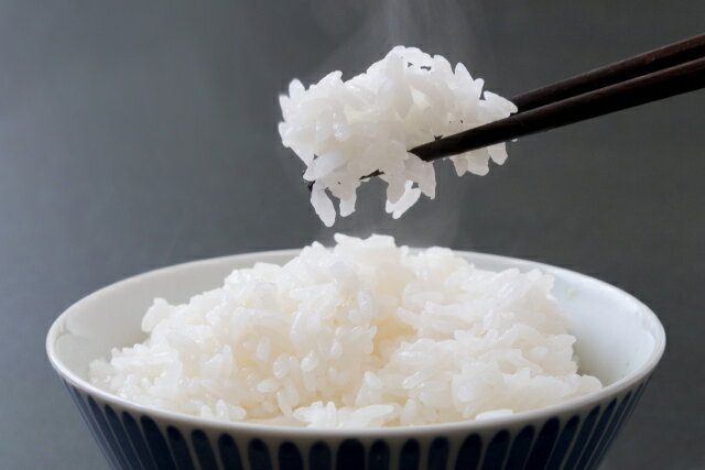 コシヒカリ 10kg [5kg×2袋] 玄米対応可 米 こめ コメ コシヒカリ 鳥取県南部町