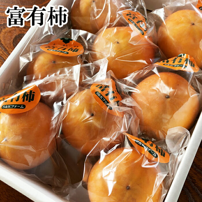 鳥取県産 富有柿 3kg[出荷:12月・1月・2月] 鳥取県南部町