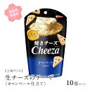 【ふるさと納税】グリコ 生チーズのチーザ<カマンベール仕立て> 10個セット 鳥取県南部町 チーザ Cheeza カマンベールチーズ おつまみ スナック 家飲み...