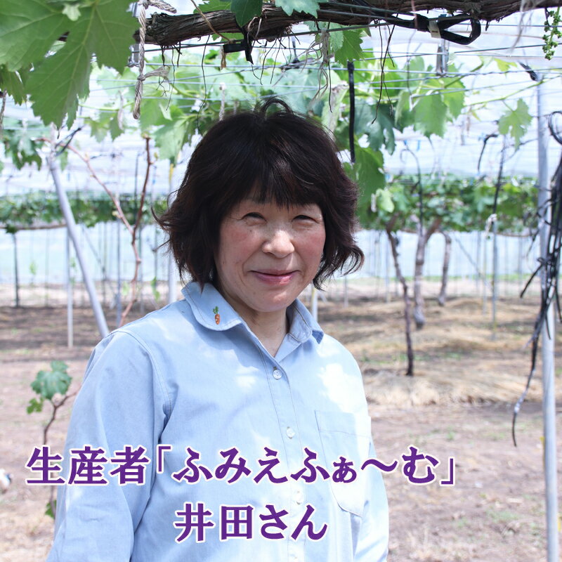 【ふるさと納税】ピオーネ 約2kg＜数量限定＞ 9月出荷予定 2025年収穫分 ぶどう ブドウ 葡萄 フルーツ 鳥取県南部町