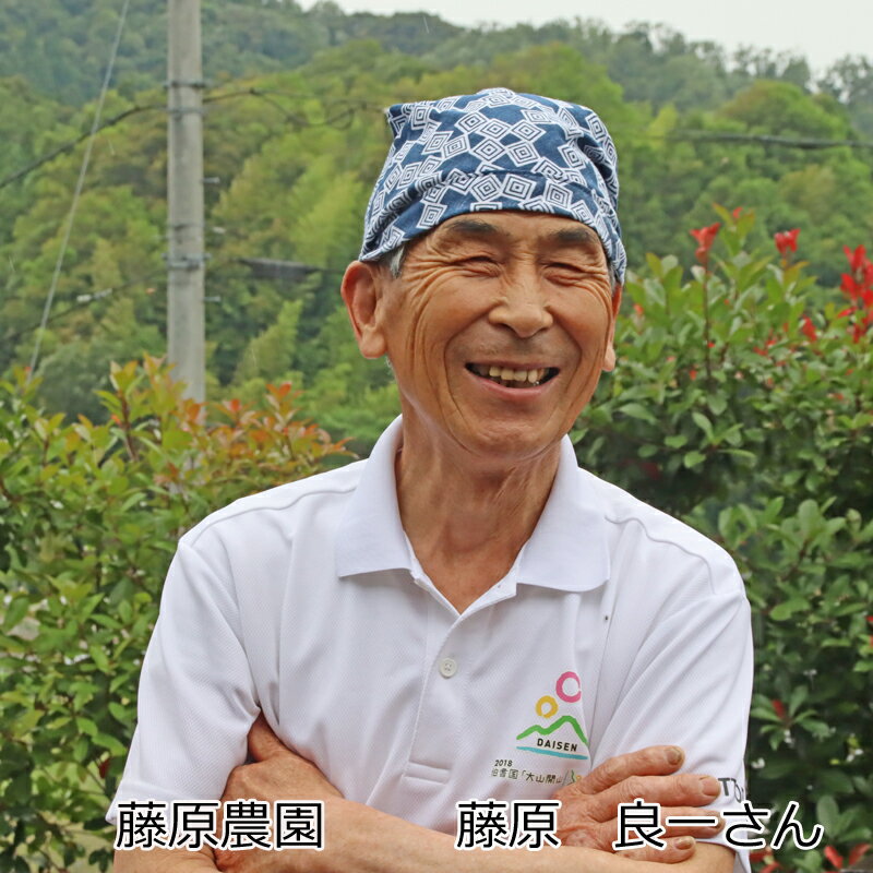 【ふるさと納税】里地・里山のめぐみ　[アカシアハチミツ600g]　鳥取県産純粋ハチミツ はちみつ 蜂蜜 ハチミツ アカシア あかしあ 国産 鳥取県南部町