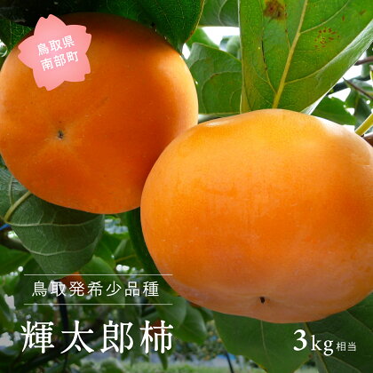 輝太郎 [柿]（進物用3kg箱）10月出荷予定 フルーツ先行予約 ＜数量限定＞ 柿 かき カキ フルーツ 鳥取県南部町
