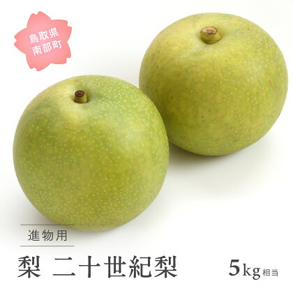 二十世紀梨（進物用5kg箱）8月下旬出荷予定 フルーツ ＜数量限定＞ 梨 なし フルーツ 鳥取県南部町