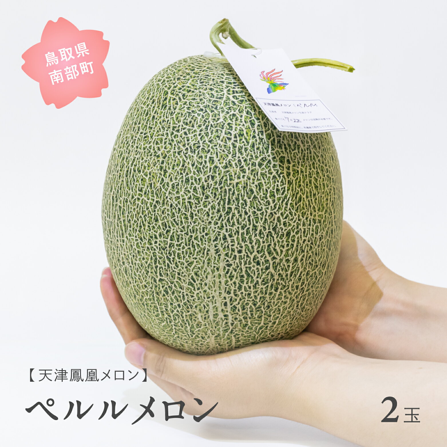 【ふるさと納税】天津鳳凰メロン(ペルル・2玉)<数量限定>7月出荷予定 2025年収穫分 メロン フルーツ 鳥取県南部町