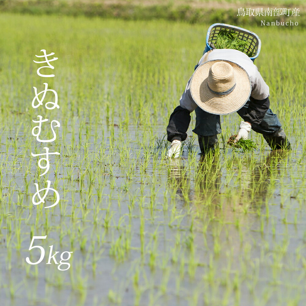 【ふるさと納税】鳥取県南部町産 きぬむすめ 5kg 特A 米 お米 こめ おこめ コメ 白米 精米 玄米 無洗米 真空パック 備蓄 備蓄米 長期保存 ドットクルー･･･