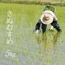 【ふるさと納税】令和5年産 鳥取県南部町産 きぬむすめ 5kg 特A 米 お米 こめ おこめ コメ 白米 精米 玄米 無洗米 真空パック 備蓄 備蓄米 長期保存 ドットクルー