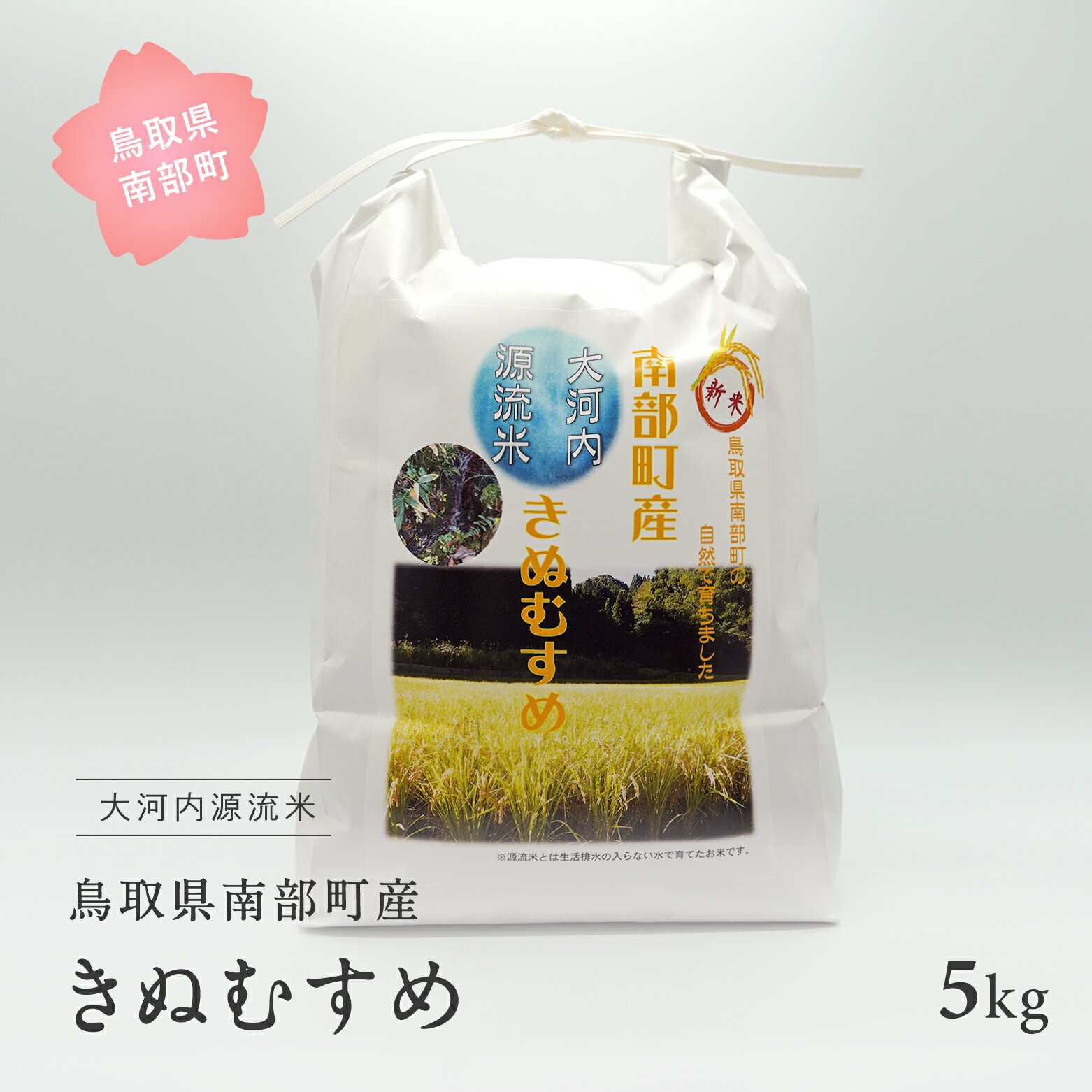 24位! 口コミ数「0件」評価「0」南部町産 大河内源流米きぬむすめ5kg 令和6年産 新米 早期予約 米 お米 おこめ キヌムスメ 鳥取県南部町