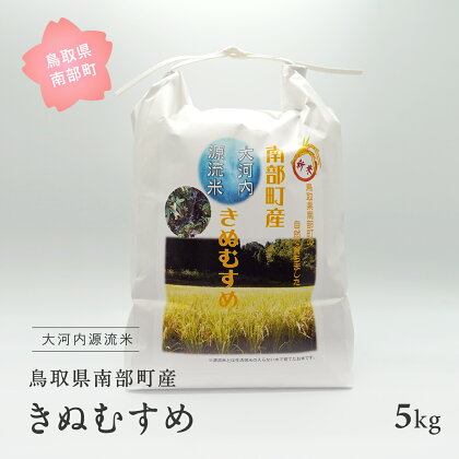 南部町産 大河内源流米きぬむすめ5kg 令和6年産 新米 早期予約 米 お米 おこめ キヌムスメ 鳥取県南部町