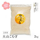 【ふるさと納税】大山こむぎ 2kg 小麦 こむぎ 国産小麦 全粒粉 石臼挽き 福成農園 鳥取県南部町