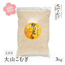 【ふるさと納税】大山こむぎ 3kg 小麦 こむぎ 国産小麦 全粒粉 石臼挽き 福成農園 鳥取県南部町 1