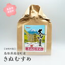 鳥取県南部町産 きぬむすめ 5kg / 10kg / 20kg 令和5年産 キヌムスメ 5キロ 10キロ 20キロ 米 お米 おこめ こめ コメ 白米 精米 玄米 岩崎米穀