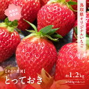 【ふるさと納税】【完熟出荷】とっておき 300g×4パック いちご イチゴ 苺 あかり農園 鳥取県南部町