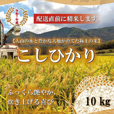 【ふるさと納税】令和7年 鳥取県産　山崎農園こしひかり10kg【1725698】 f313904-houki-10000085 鳥取県伯耆町 パッケージ画像