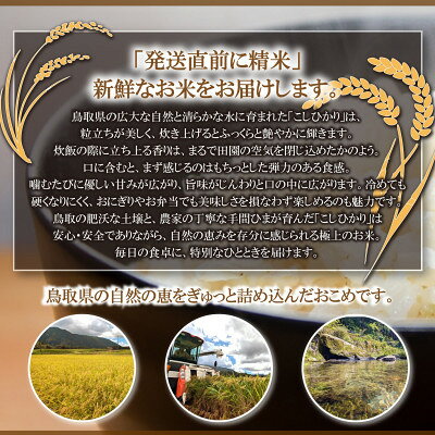 【ふるさと納税】令和7年 鳥取県産　山崎農園こしひかり10kg【1725698】 f313904-houki-10000085 鳥取県伯耆町 サンプル画像2