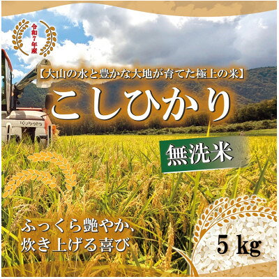 令和7年 鳥取県産 山崎農園こしひかり無洗米5kg