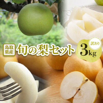[訳あり]鳥取県産旬の梨 3kg[配送不可地域:離島・北海道・沖縄県]