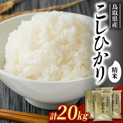 【ふるさと納税】【食味鑑定士厳選】鳥取県産 コシヒカリ20kg(5kg×4袋) 精米【1734490】