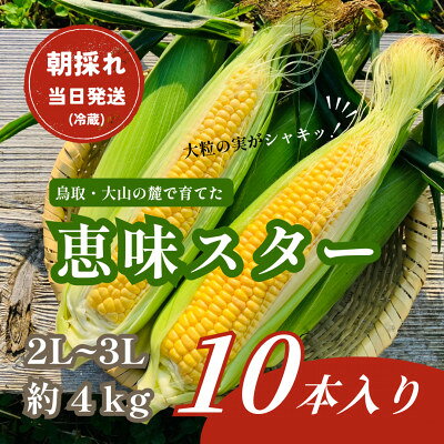 [朝採れ当日発送]大山スイートコーン10本|2L〜3Lサイズ(約4kg)|恵味スター[配送不可地域:離島・北海道・沖縄県・東北・信越、北陸]