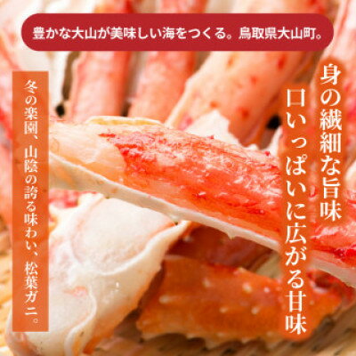 【ふるさと納税】【2027年1月以降順次発送】[冷凍]訳あり松葉ガニ約2kg詰め合わせ　OM-13-2【配送不可地域：離島】【1745618】