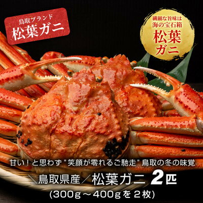 【ふるさと納税】【11月中旬以降順次発送】ボイル松葉ガニ(300～400gを2枚)　OM-16-1【配送不可地域：離島・北海道・沖縄県・東北・信越、北陸】【1745692】