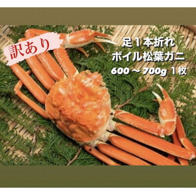 【ふるさと納税】【11月中旬以降順次発送】訳あり足1本折れボイル松葉ガニ(600～700gを1枚)　OM-31【配送不可地域：離島・北海道・沖縄県・東北・信越、北陸】【1745696】