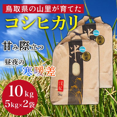 [令和8年産]鳥取県産「コシヒカリ」精米 10kg(5kg×2)