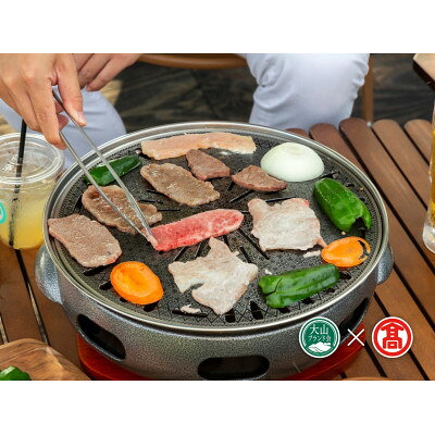 【ふるさと納税】DU2沢田ベース大人2名1泊2食星取体験付きチケット(ハイシーズンをのぞく)【1754327】 f313904-houki-10000220 鳥取県伯耆町 サンプル画像3