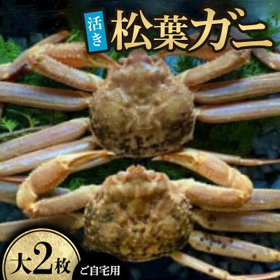 【ふるさと納税】【先行予約】【活き】ご自宅用　松葉ガニ　大　2枚(1枚800～940g前後)※11月中旬から順次発送【配送不可地域：離島・北海道・沖縄県】【1763341】