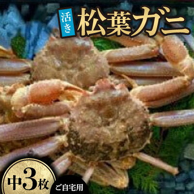 【ふるさと納税】【先行予約】【活き】ご自宅用　松葉ガニ　中　3枚(1枚500～640g前後)※11月中旬から順次発送【配送不可地域：離島・北海道・沖縄県】【1763344】