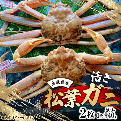【ふるさと納税】【先行予約】【活き】タグ付き松葉ガニ　大　2枚(1枚800～940g前後)　※11月中旬から順次発送【配送不可地域：離島・北海道・沖縄県】【1763369】