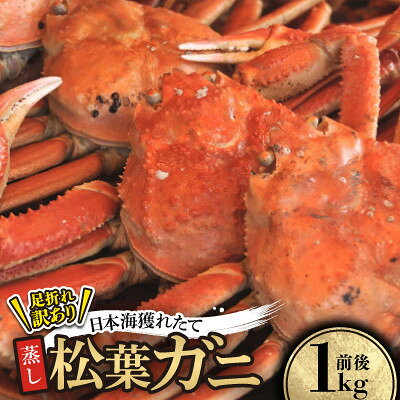 【ふるさと納税】【先行予約】訳あり足が折れた蒸し松葉ガニ1kg前後　※11月中旬から順次発送【配送不可地域：離島・北海道・沖縄県】【1763410】