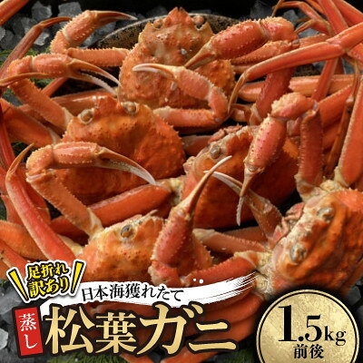 【ふるさと納税】【先行予約】訳あり足が折れた蒸し松葉ガニ1.5kg前後　※11月中旬から順次発送【配送不可地域：離島・北海道・沖縄県】【1763411】