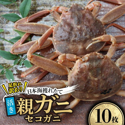 【ふるさと納税】【先行予約】【活き】訳あり足折れ日本海産親ガニ(セコガニ)　10枚　※11月中旬から順次発送【配送不可地域：離島・北海道・沖縄県】【1763910】